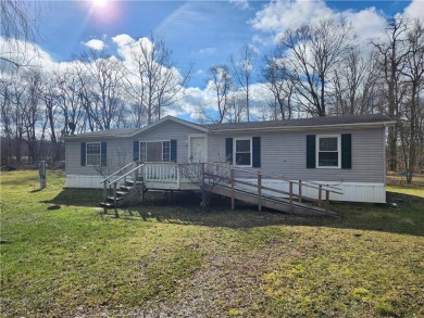 Lake Home For Sale in Bradford - PA, New York