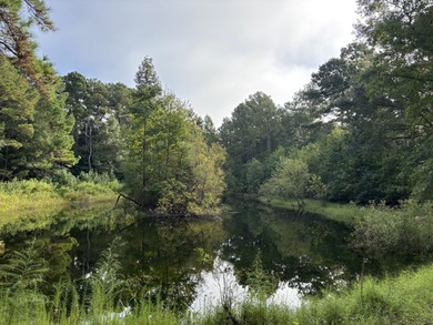 (private lake, pond, coastal) Lot For Sale in Awendaw South Carolina