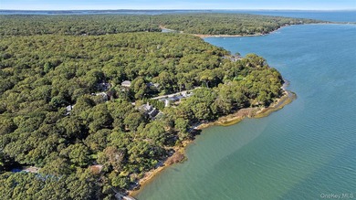 Newly completed and design-driven, this waterfront home makes a - photo 1