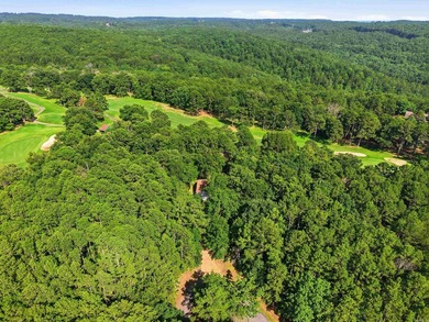 Nestled on three private lots overlooking Mountain Ranch Golf - photo 4