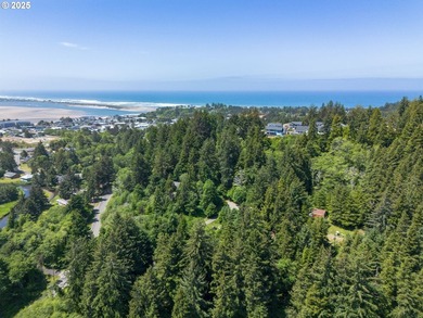 Rare opportunity outside the tsunami zone with panoramic views - photo 45