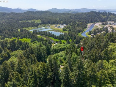 Rare opportunity outside the tsunami zone with panoramic views - photo 46