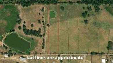 Lake Acreage For Sale in Pittsburg, Texas