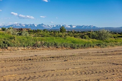 TO BE BUILT! Fabulous Bridges Golf and Country Club lot 508 on - photo 12