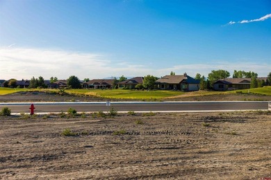TO BE BUILT! Fabulous Bridges Golf and Country Club lot 508 on - photo 13