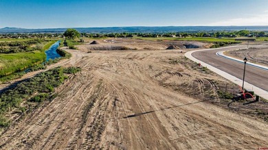 TO BE BUILT! Fabulous Bridges Golf and Country Club lot 508 on - photo 21