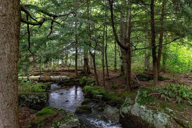 Introducing The Birches ? A Sanctuary on Lake Nubanusit in - photo 32