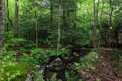 Introducing The Birches ? A Sanctuary on Lake Nubanusit in - photo 38