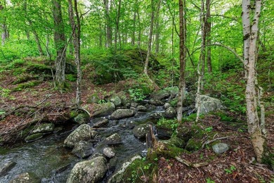Introducing The Birches ? A Sanctuary on Lake Nubanusit in - photo 41
