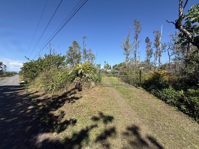 Tucked on a quiet stretch of 3rd Ave in Hawaiian Paradise Park - photo 4