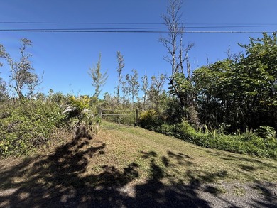 Tucked on a quiet stretch of 3rd Ave in Hawaiian Paradise Park - photo 5