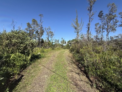 Tucked on a quiet stretch of 3rd Ave in Hawaiian Paradise Park - photo 7