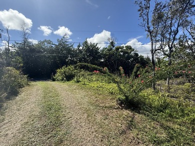 Tucked on a quiet stretch of 3rd Ave in Hawaiian Paradise Park - photo 8