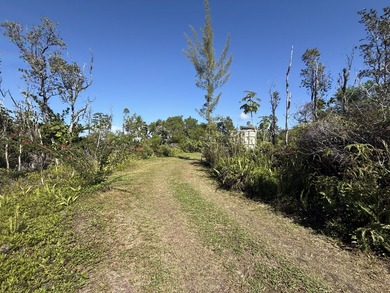Tucked on a quiet stretch of 3rd Ave in Hawaiian Paradise Park - photo 9
