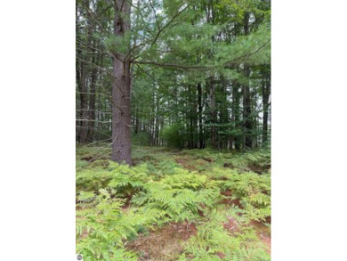 Price Lake Lot For Sale in Kalkaska Michigan