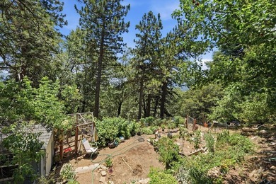 21543 Peak Cir - photo 40