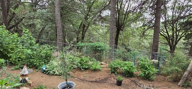 21543 Peak Cir - photo 43