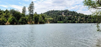 21543 Peak Cir - photo 47