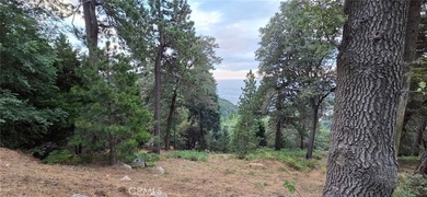 Rare opportunity to own a charming mountain retreat with an - photo 49