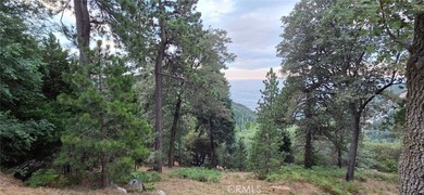 Rare opportunity to own a charming mountain retreat with an - photo 50