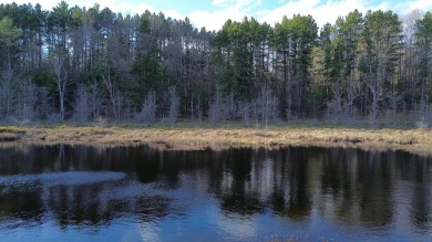 Lake Acreage For Sale in Eagle River, Wisconsin