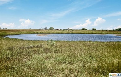 Lake Home For Sale in Lolita, Texas