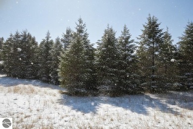 (private lake, pond, creek) Lot For Sale in Fife Lake Michigan