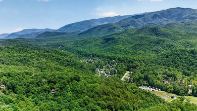 Experience breathtaking mountain views from this lovingly - photo 42