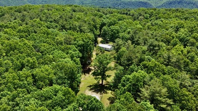 Country living at its best! Check out this recently renovated - photo 3