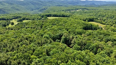 Country living at its best! Check out this recently renovated - photo 5