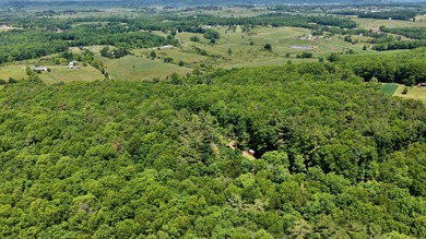 Country living at its best! Check out this recently renovated - photo 7