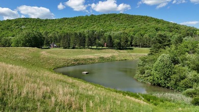 Welcome to Locust Hill, a hospitality business on 21+/- scenic - photo 6