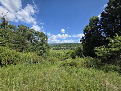 Bring your vision to life with this exceptional 10-acre tract - photo 6