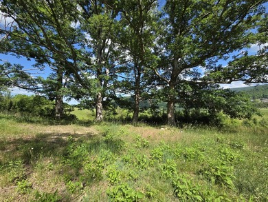 Bring your vision to life with this exceptional 10-acre tract - photo 8