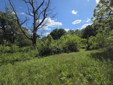 Bring your vision to life with this exceptional 10-acre tract - photo 10