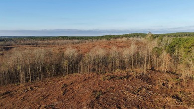 This 120.15+/- acre recreational property in Pike County - photo 11