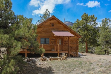 Lake Fork River Ranch, a place where anglers gently wade as elk - photo 14