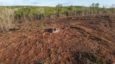 This 120.15+/- acre recreational property in Pike County - photo 21