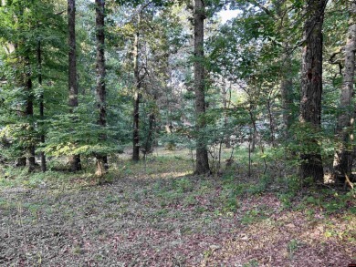 Lake Lot For Sale in Lakeview, Arkansas