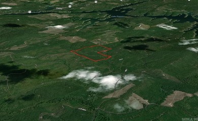 This 120.15+/- acre recreational property in Pike County - photo 22