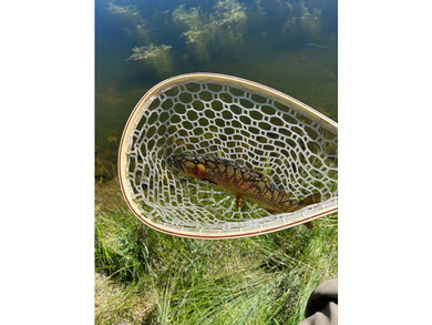 Lake Fork River Ranch, a place where anglers gently wade as elk - photo 36