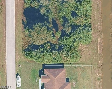 Located in the growing community of Lehigh Acres, this 0.23-acre - photo 3