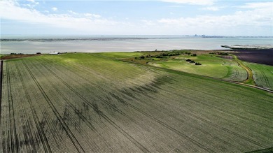 With 2,988.99' +/- of meandering Nueces Bay frontage along the - photo 4