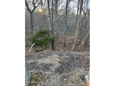 Norris Lake Lot For Sale in Lafollette Tennessee