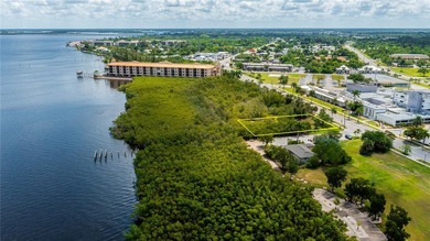 Absolutely AMAZING almost 1/2 ACRE COMMERCIAL or RESIDENTIAL - photo 2
