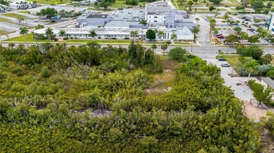 Absolutely AMAZING almost 1/2 ACRE COMMERCIAL or RESIDENTIAL - photo 3