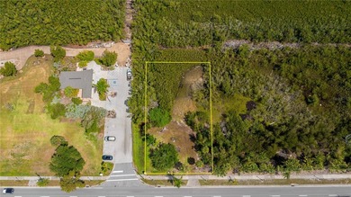 Absolutely AMAZING almost 1/2 ACRE COMMERCIAL or RESIDENTIAL - photo 4