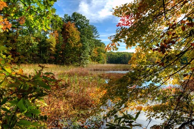 Welcome to the beauty of Cranes Pond. Look around and you'll - photo 5