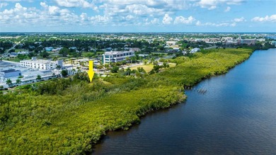 Absolutely AMAZING almost 1/2 ACRE COMMERCIAL or RESIDENTIAL - photo 7