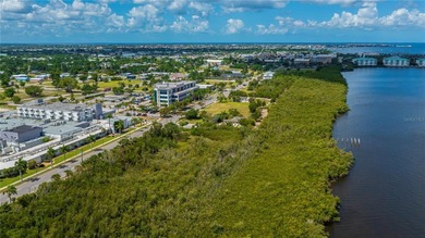 Absolutely AMAZING almost 1/2 ACRE COMMERCIAL or RESIDENTIAL - photo 8